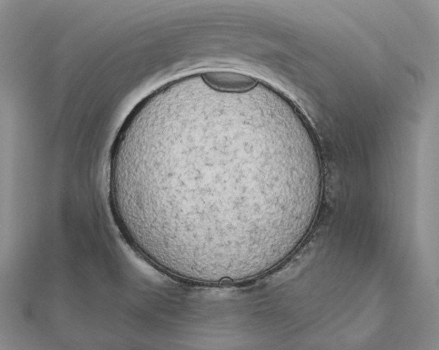 X0000112501519200908311442