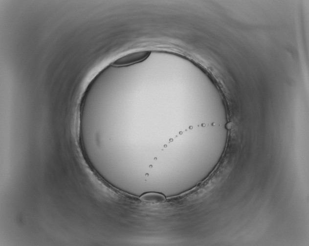 X0000112501520200908311442