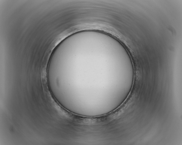 X0000112501521200908311442