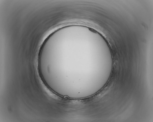 X0000112501523200908311442