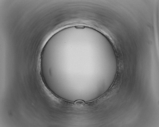 X0000112501524200908311442