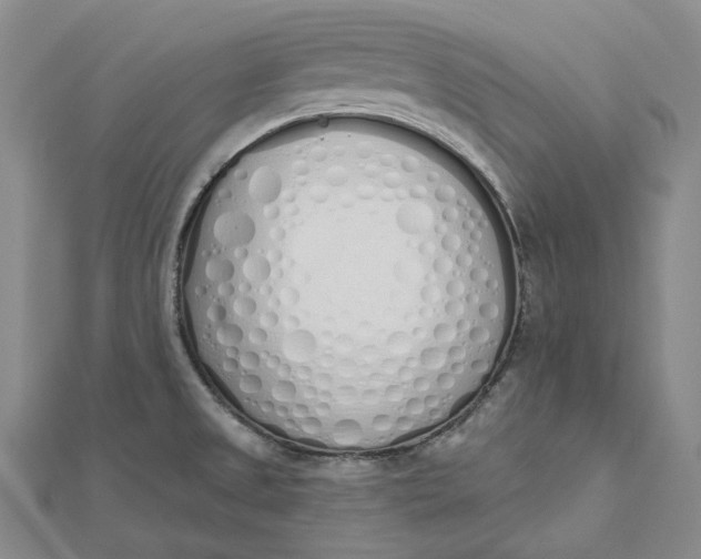 X0000112501525200908311442