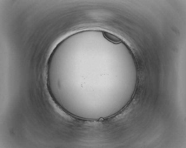 X0000112501526200908311442