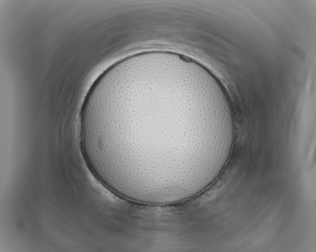 X0000112501527200908311442