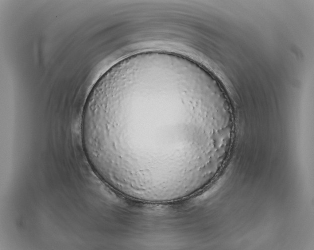 X0000112501529200908311442