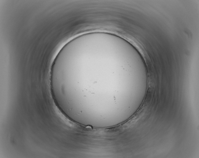 X0000112501532200908311442