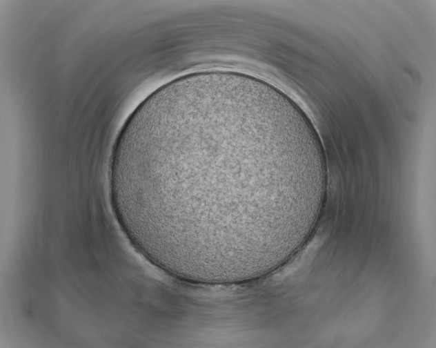 X0000112501533200908311442