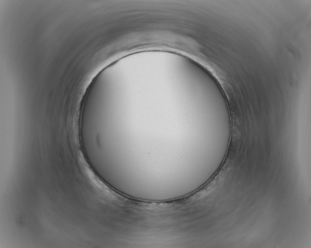 X0000112501534200908311442