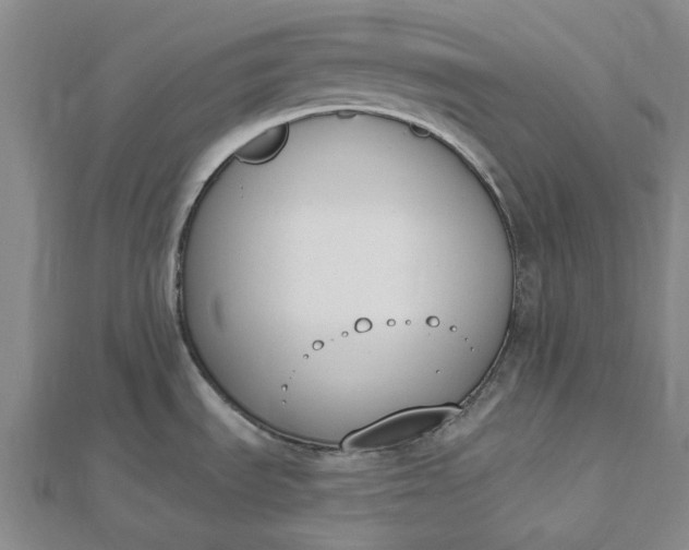 X0000112501535200908311442