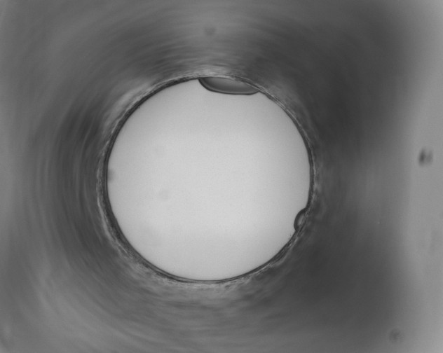 X0000112500001200909071256