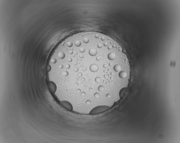 X0000112500002200909071256