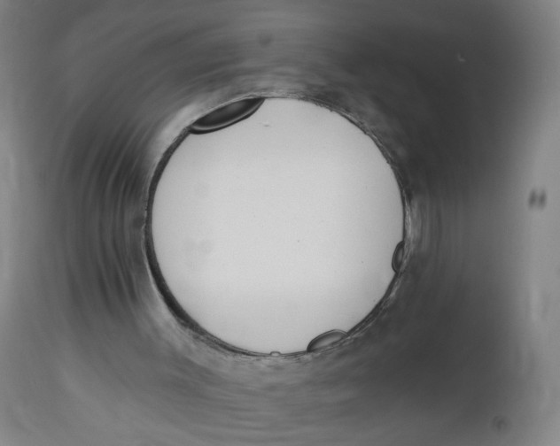 X0000112500003200909071256