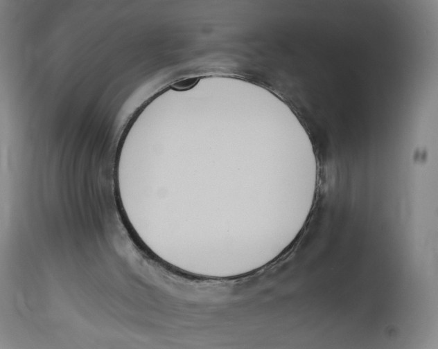 X0000112500004200909071256