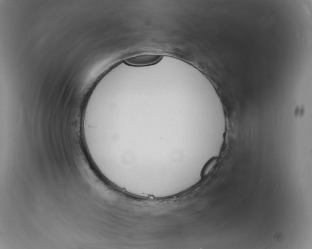 X0000112500005200909071256