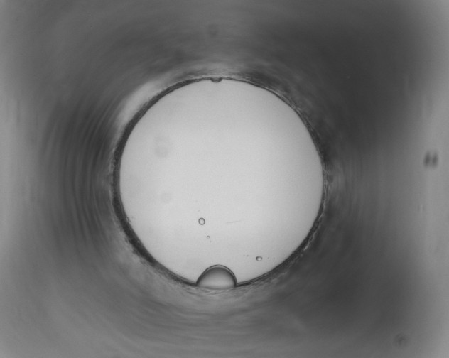 X0000112500006200909071256