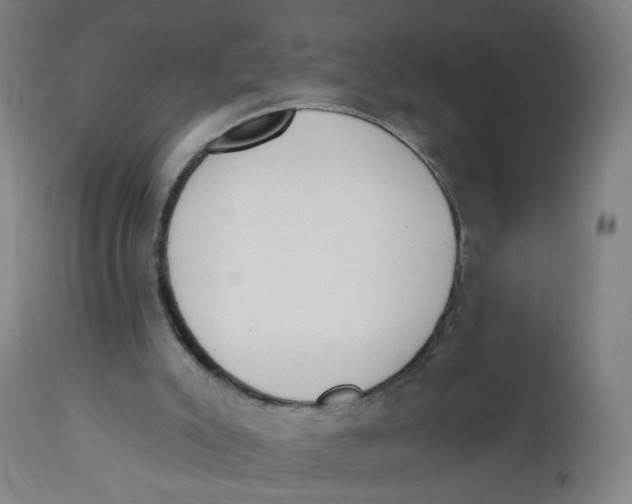 X0000112500007200909071256