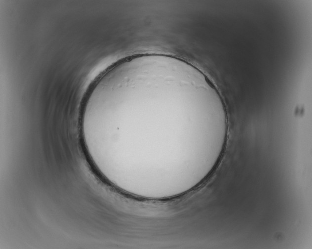 X0000112500008200909071256