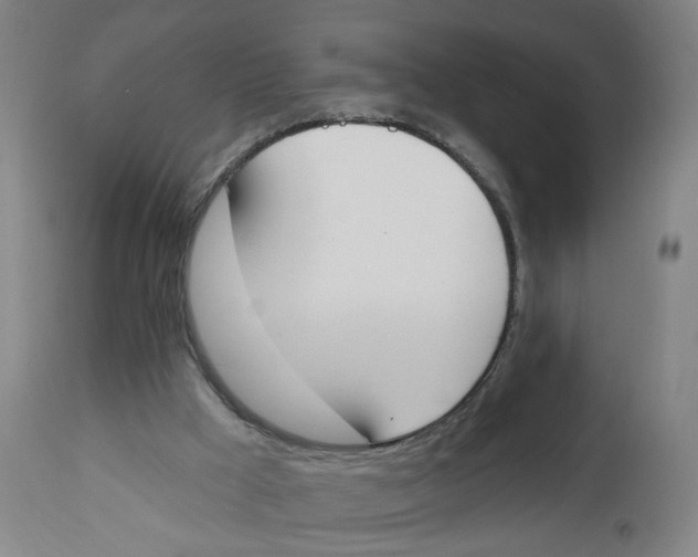 X0000112500009200909071256