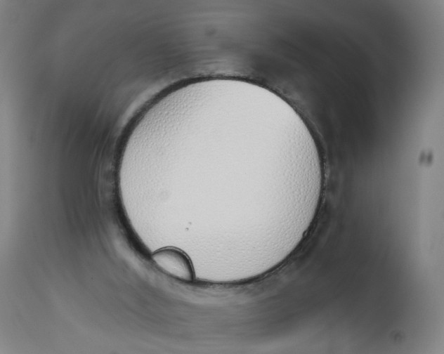 X0000112500012200909071256