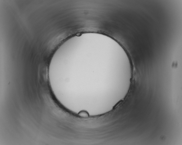 X0000112500013200909071256