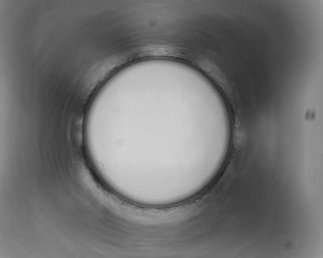 X0000112500014200909071256