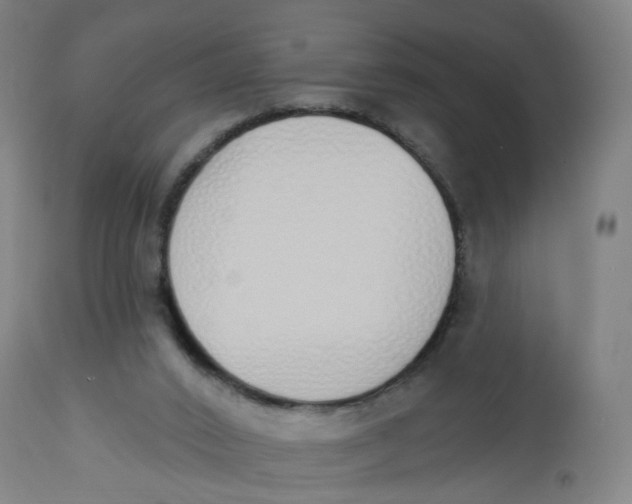 X0000112500016200909071256