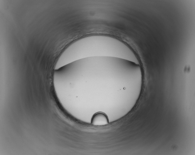 X0000112500017200909071256