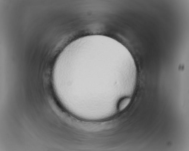 X0000112500018200909071256