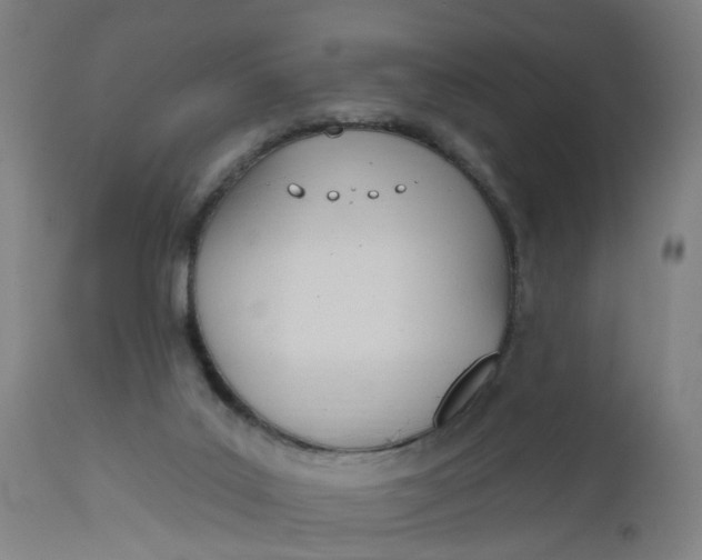 X0000112500019200909071256