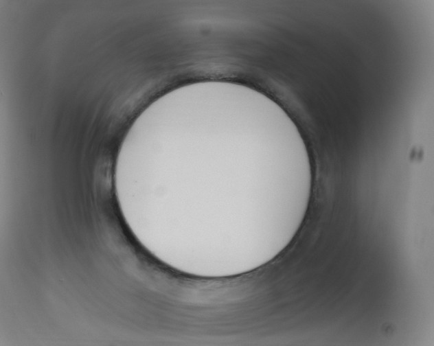 X0000112500021200909071256