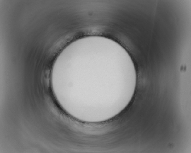 X0000112500022200909071256