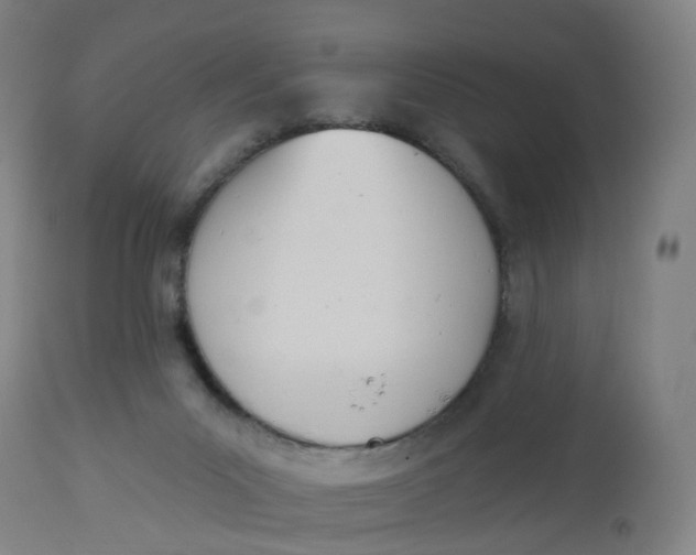 X0000112500023200909071255