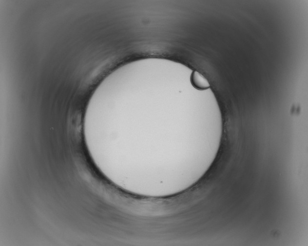 X0000112500024200909071255