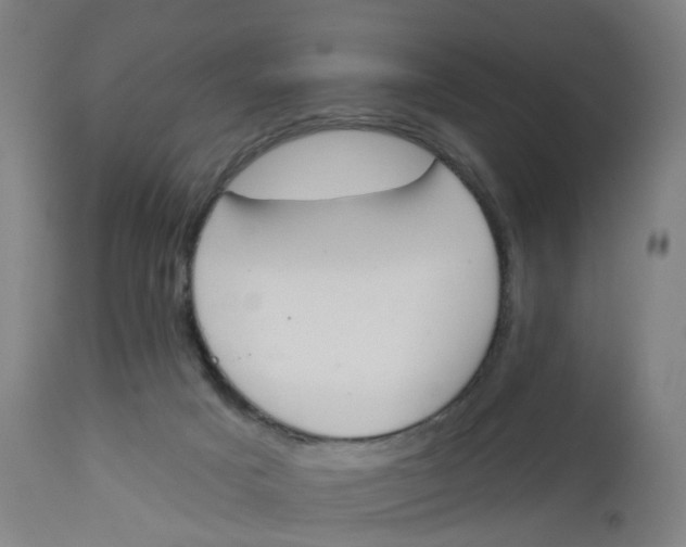 X0000112500025200909071255