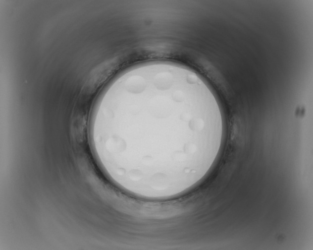 X0000112500026200909071255