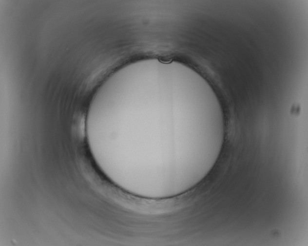 X0000112500027200909071255