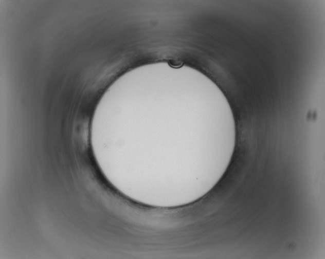 X0000112500028200909071255