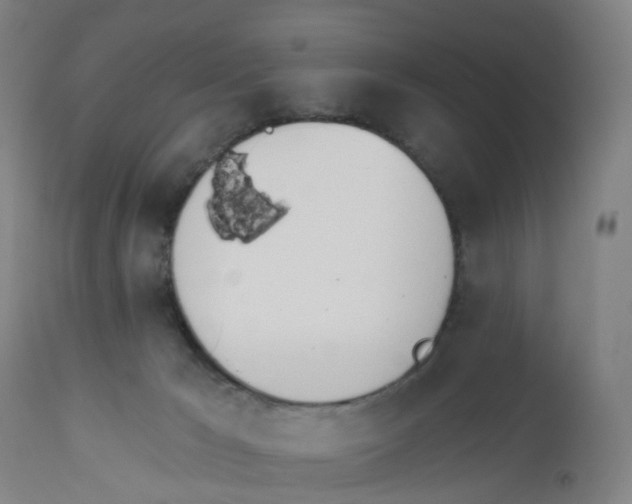 X0000112500029200909071255