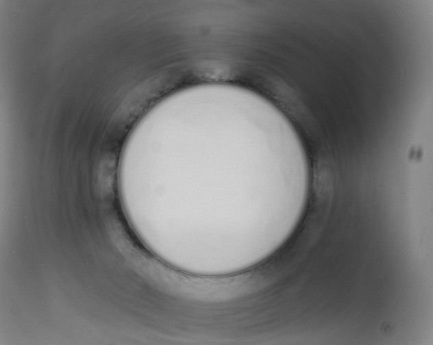 X0000112500030200909071255