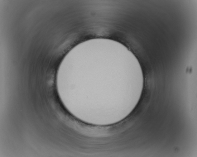 X0000112500032200909071255