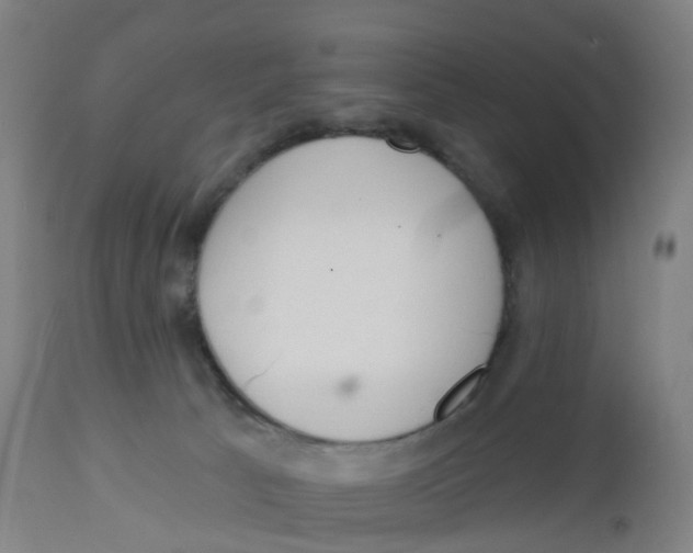 X0000112500033200909071255