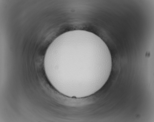 X0000112500034200909071255