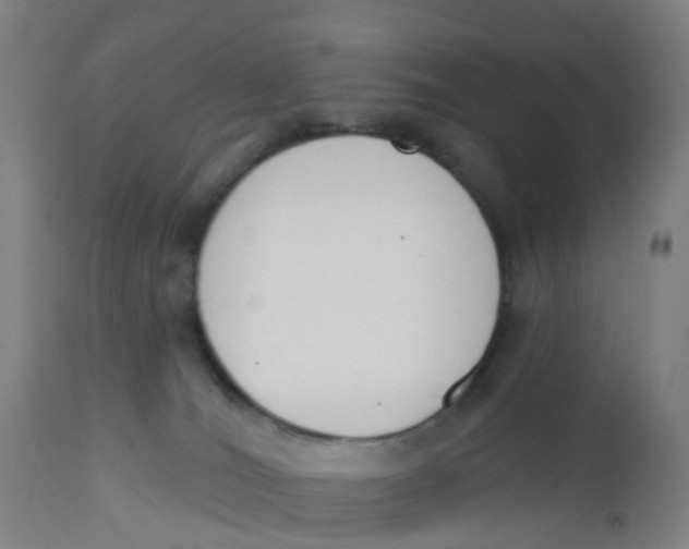 X0000112500036200909071255