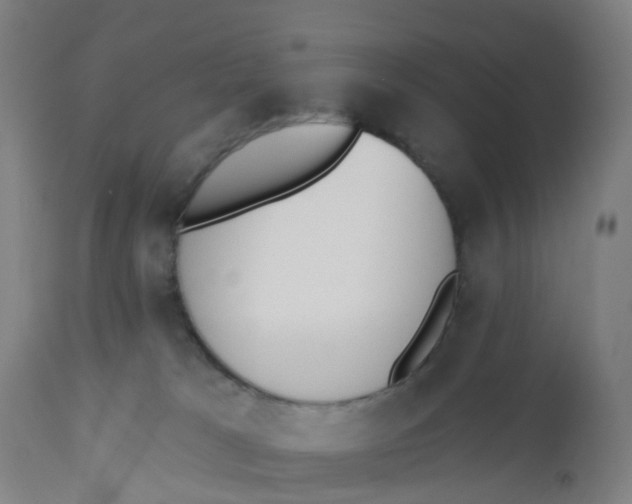 X0000112500037200909071255