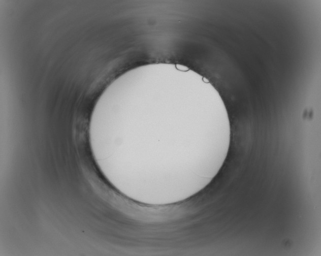 X0000112500038200909071255