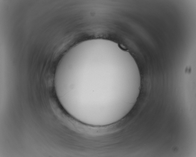 X0000112500039200909071255