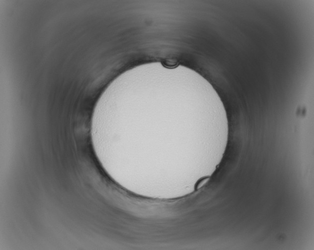 X0000112500040200909071255