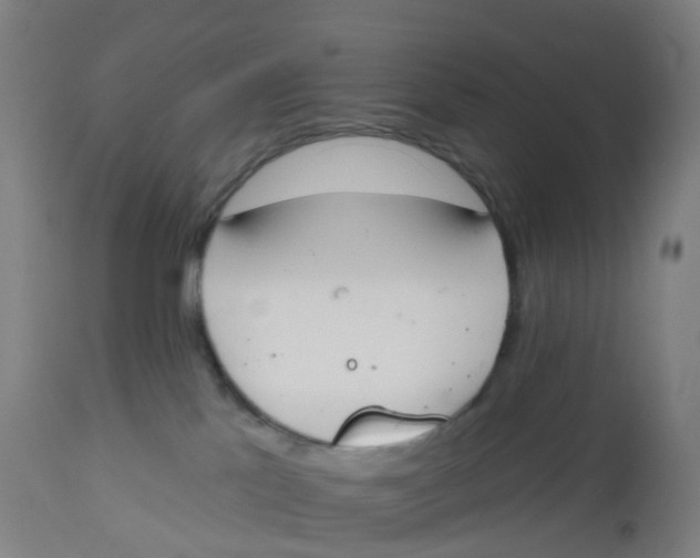 X0000112500041200909071255