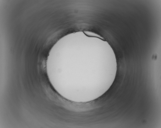 X0000112500042200909071255