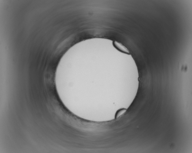 X0000112500044200909071255